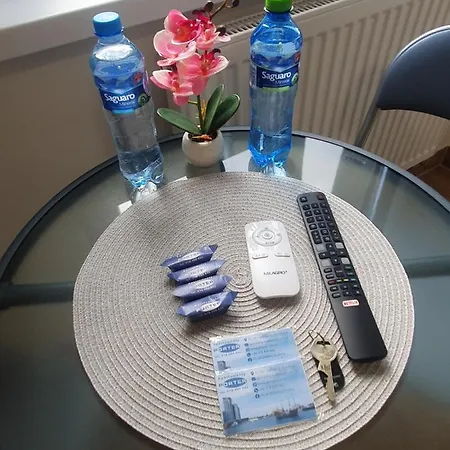U Portera W śródmieściu Apartament *